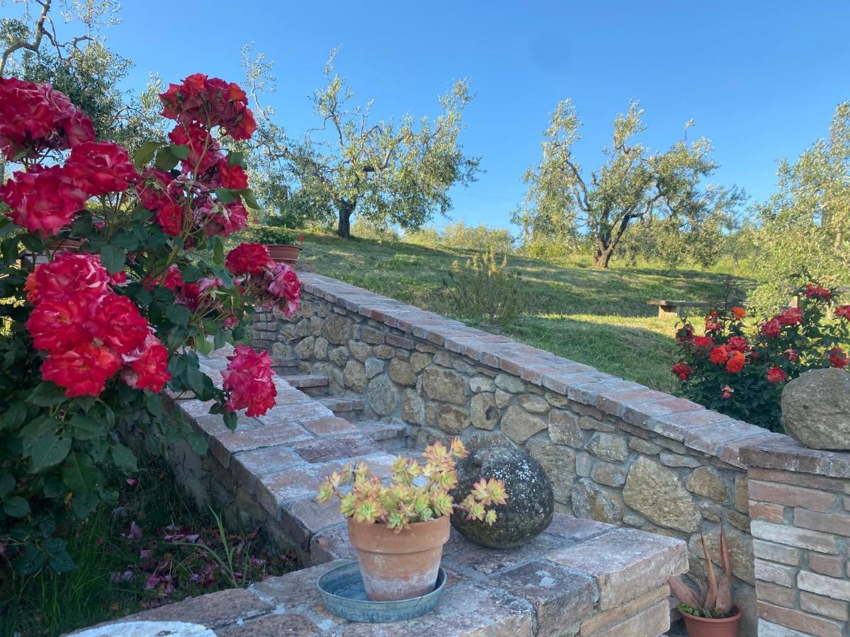 Agriturismo Casallario Volterra Kültér fotó